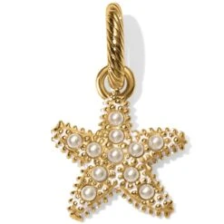 Beach Star Charm Necklace -Fashion Accessories Store beach star charm necklace gold 3 e21bdf08 dcd2 4498 a00b b6e4a74360d0