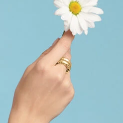 Inner Circle Double Ring -Fashion Accessories Store inner circle double ring gold 2