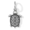 Pismo Turtle Charm -Fashion Accessories Store pismo turtle charm silver 0 a9974309 4e0c 4c8f b18f 9126bb4a24fa