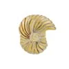 Sea Shell Stopper Bead -Fashion Accessories Store sea shell stopper bead gold 0 02e03e25 26ac 4661 8f2f a45f67da8c52